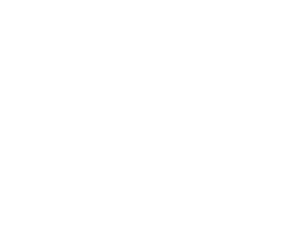 Bowsla